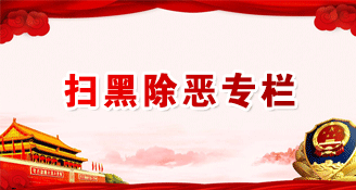 扫黑除恶专栏