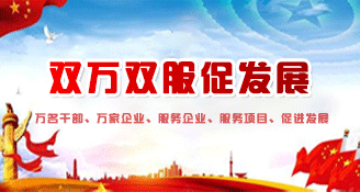 双万双服促发展